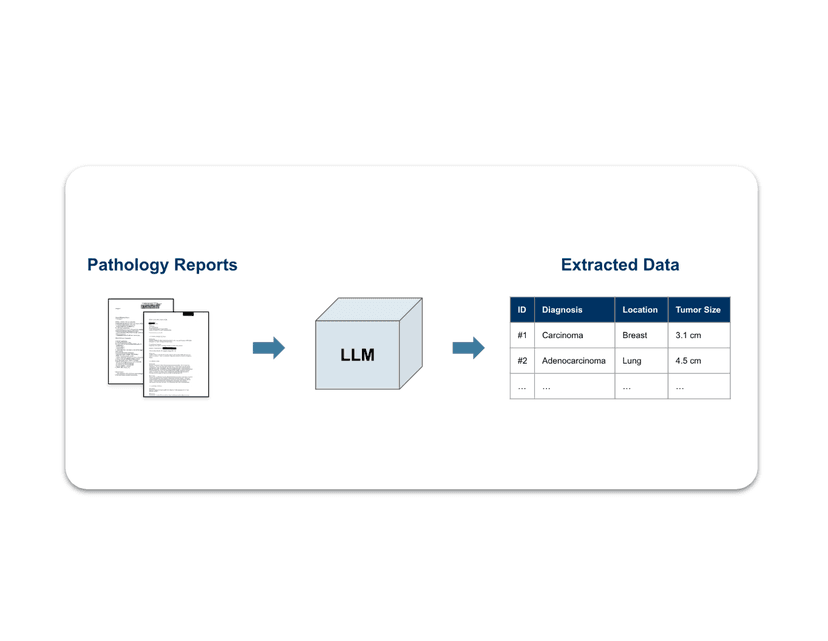 LLM-based Data Extraction